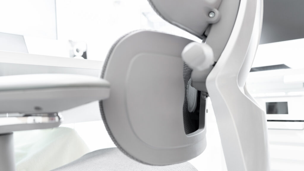 FlexiSpot C7 Morpherのエアランバーサポート（Gray）